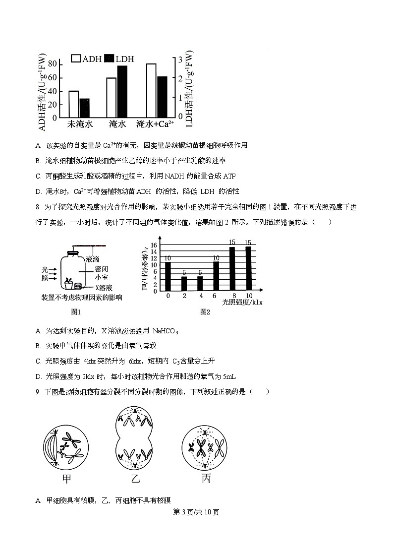 湖南省金太阳(湖南)2026届高三上学期9月月考生物试题 Word版无答案第3页