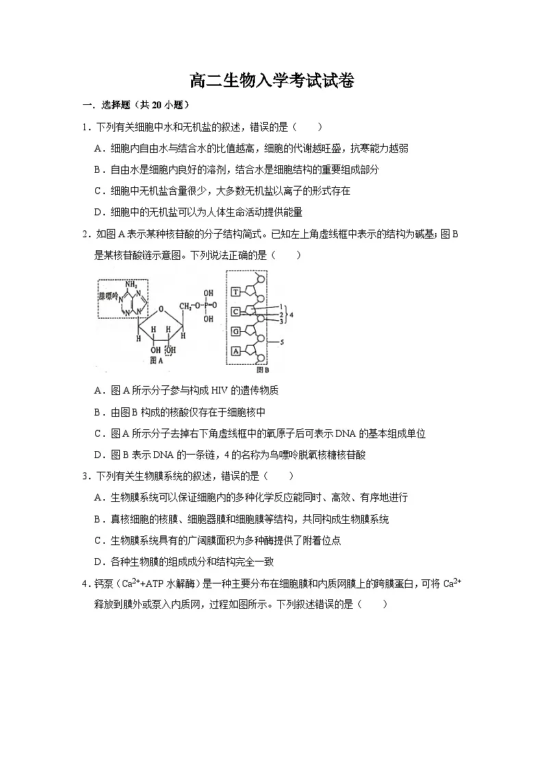 河南省南阳市唐河县第一高级中学2025-2026学年高二上学期入学测试生物试卷(含答案)第1页