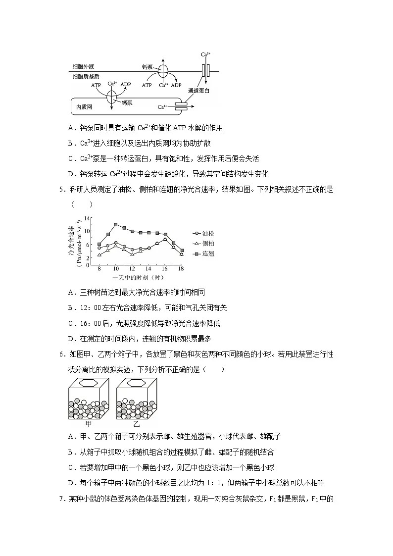 河南省南阳市唐河县第一高级中学2025-2026学年高二上学期入学测试生物试卷(含答案)第2页