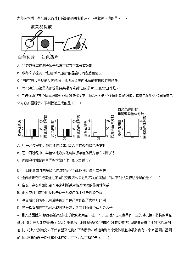 精品解析:山西省山大附中2025-2026学年高三上学期9月月考生物试题(原卷版)第2页
