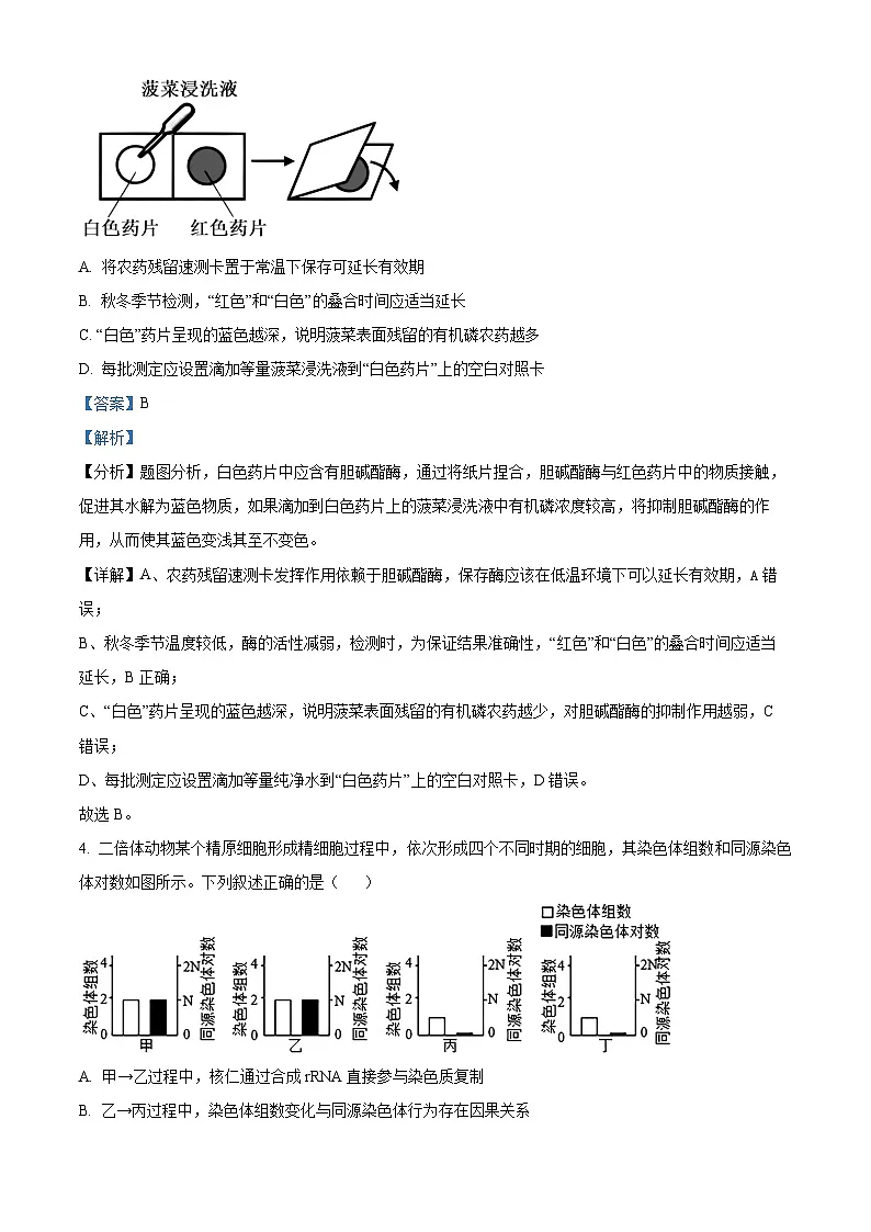 精品解析:山西省山大附中2025-2026学年高三上学期9月月考生物试题(解析版)第3页