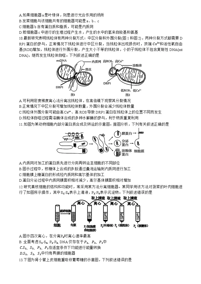 黑龙江省哈尔滨市第九中学校2023---2024学年高二下学期期末生物试题第3页