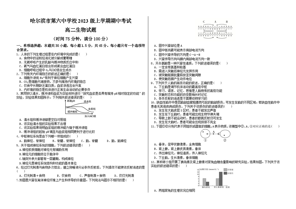 黑龙江省哈尔滨市第六中学校2024-2025学年高二上学期期中考试生物试卷第1页