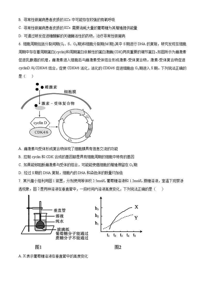 精品解析:重庆实验外国语学校2025-2026学年高三上学期9月月考2生物试题(原卷版)第3页
