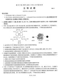 重庆市南开中学高2025届高三上学期第五次质量检测生物试题（含答案）