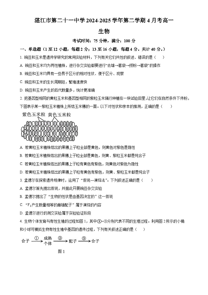 广东省湛江市第二十一中学2024-2025学年高一下学期4月月考生物试题(原卷版)-A4第1页