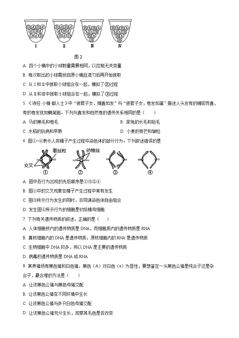 广东省湛江市第二十一中学2024-2025学年高一下学期4月月考生物试题(原卷版)-A4第2页