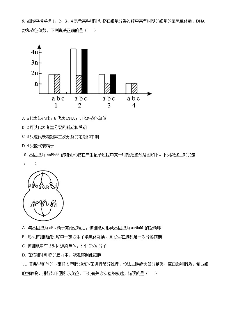 广东省湛江市第二十一中学2024-2025学年高一下学期4月月考生物试题(原卷版)-A4第3页
