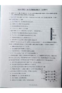 2024北京人大附中高三上10月月考生物（教师版）
