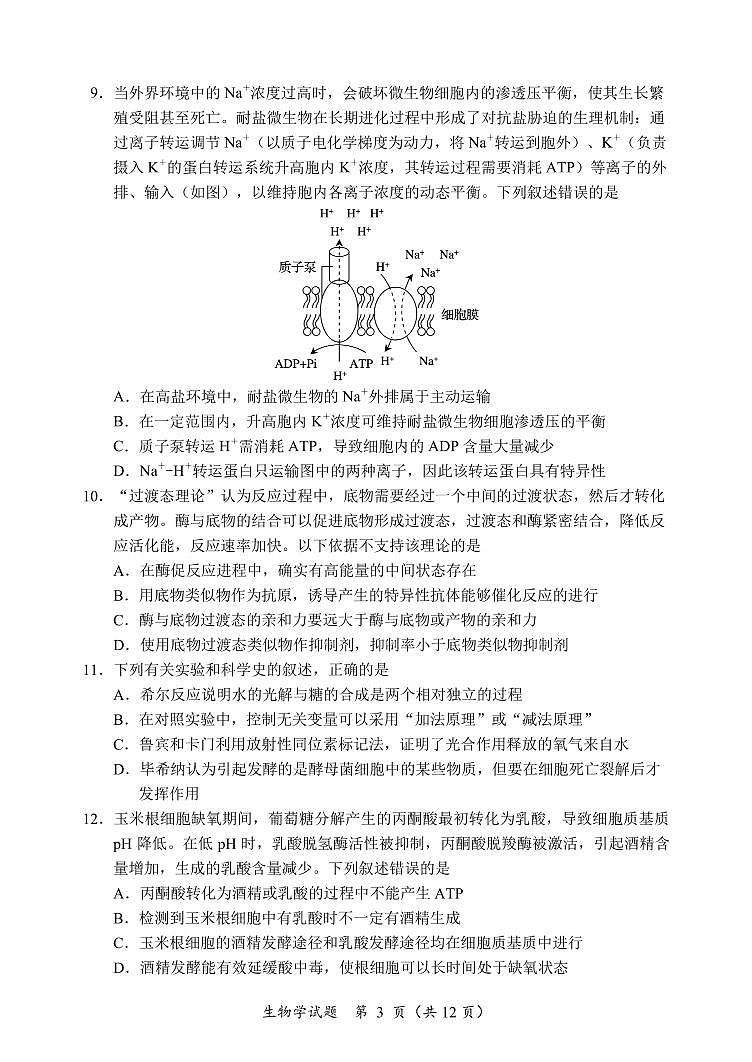 黑龙江省龙东联盟2024-2025学年高三上学期10月月考生物试卷第3页