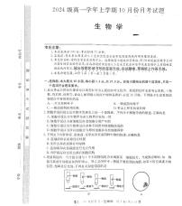 黑龙江省龙东联盟2024-2025学年高一上学期10月月考生物试卷