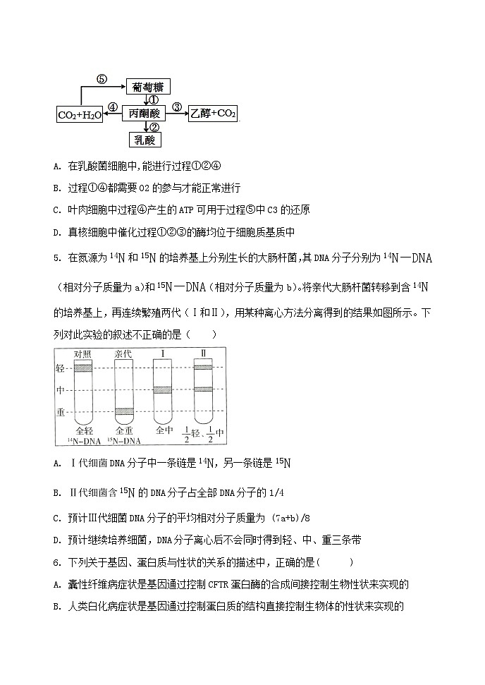 黑龙江省牡丹江市第三高级中学2023-2024学年高一下学期期末考试生物试卷第2页