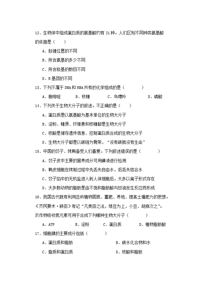黑龙江省牡丹江市第三高级中学2024-2025学年高一上学期期中考试生物试卷第3页