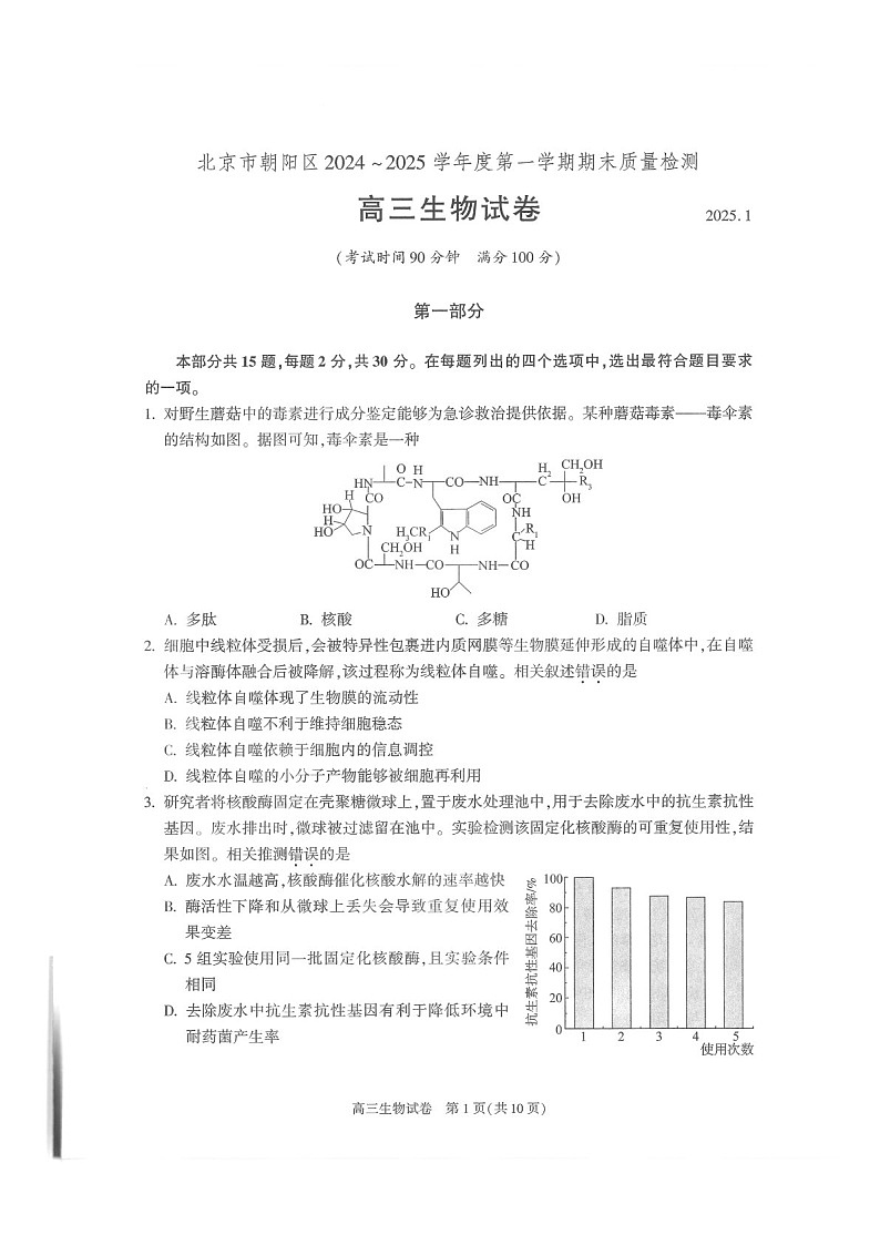 北京市朝阳区2024-2025学年高三上学期1月期末质量检测-生物试卷(含答案)第1页