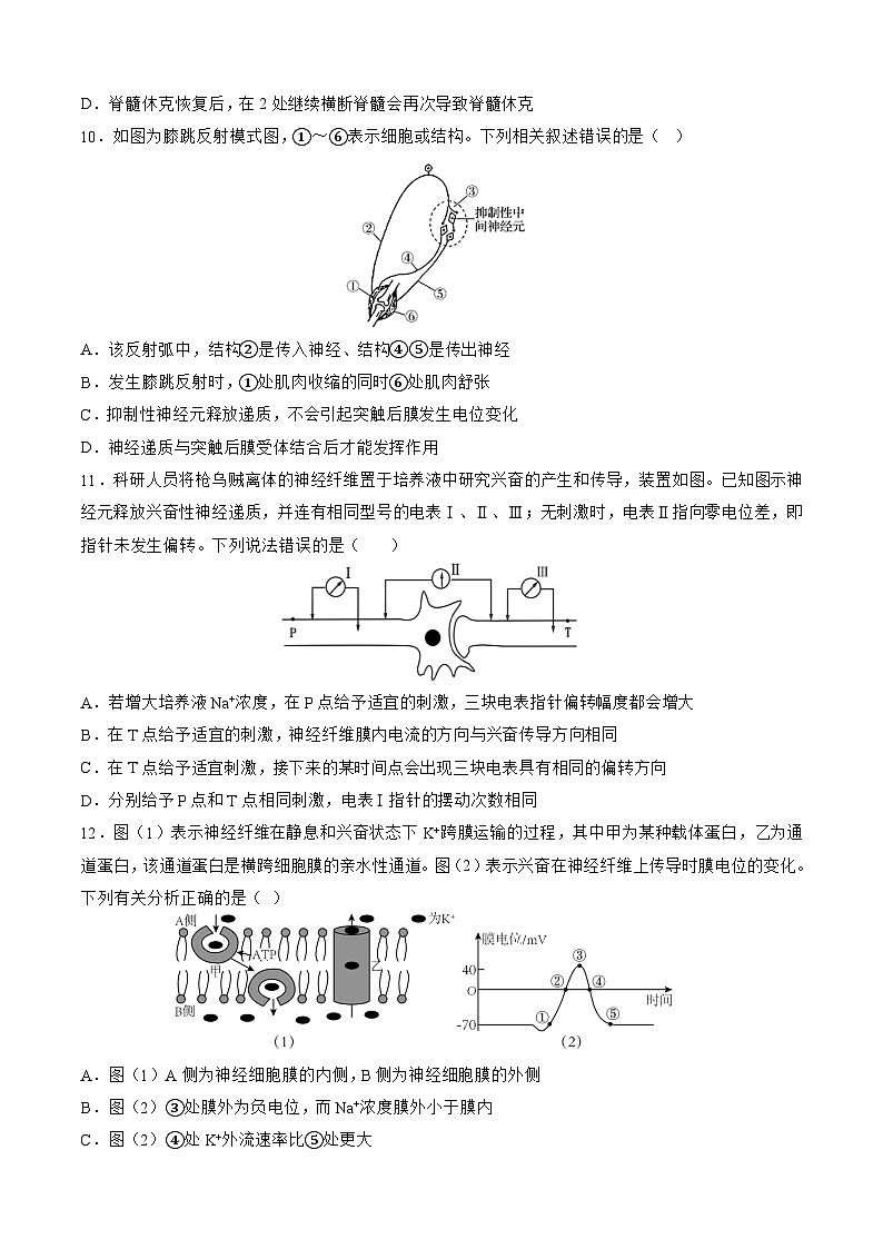 四川省成都市第七中学2025—2026学年高二上学期9月考试生物试题(含答案)第3页