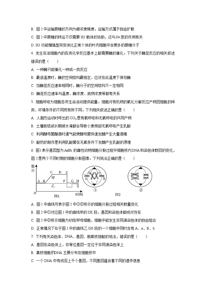 陕西省咸阳市2024-2025学年高一下学期期末生物试卷(学生版)第2页