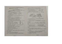 黑龙江省绥化市第二中学2024-2025学年高二上学期期中考试生物试题