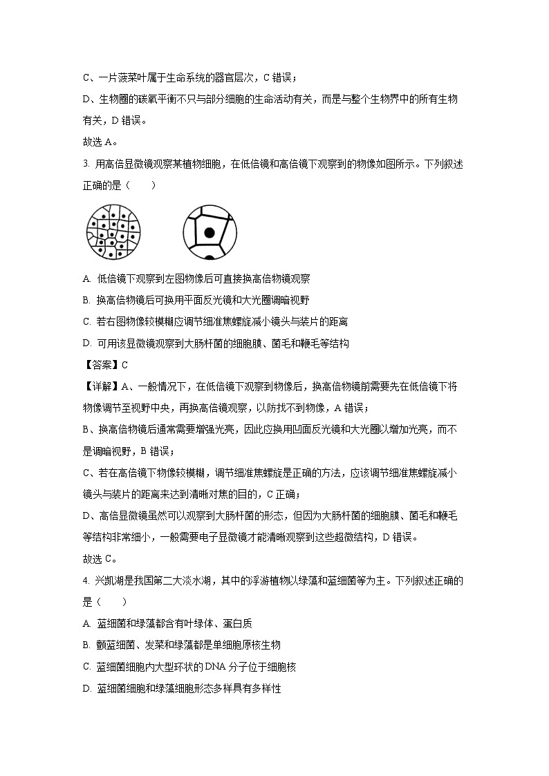 【生物】吉林省四平市普通高中2024-2025学年高一上学期第一次月考试题(解析版)第2页