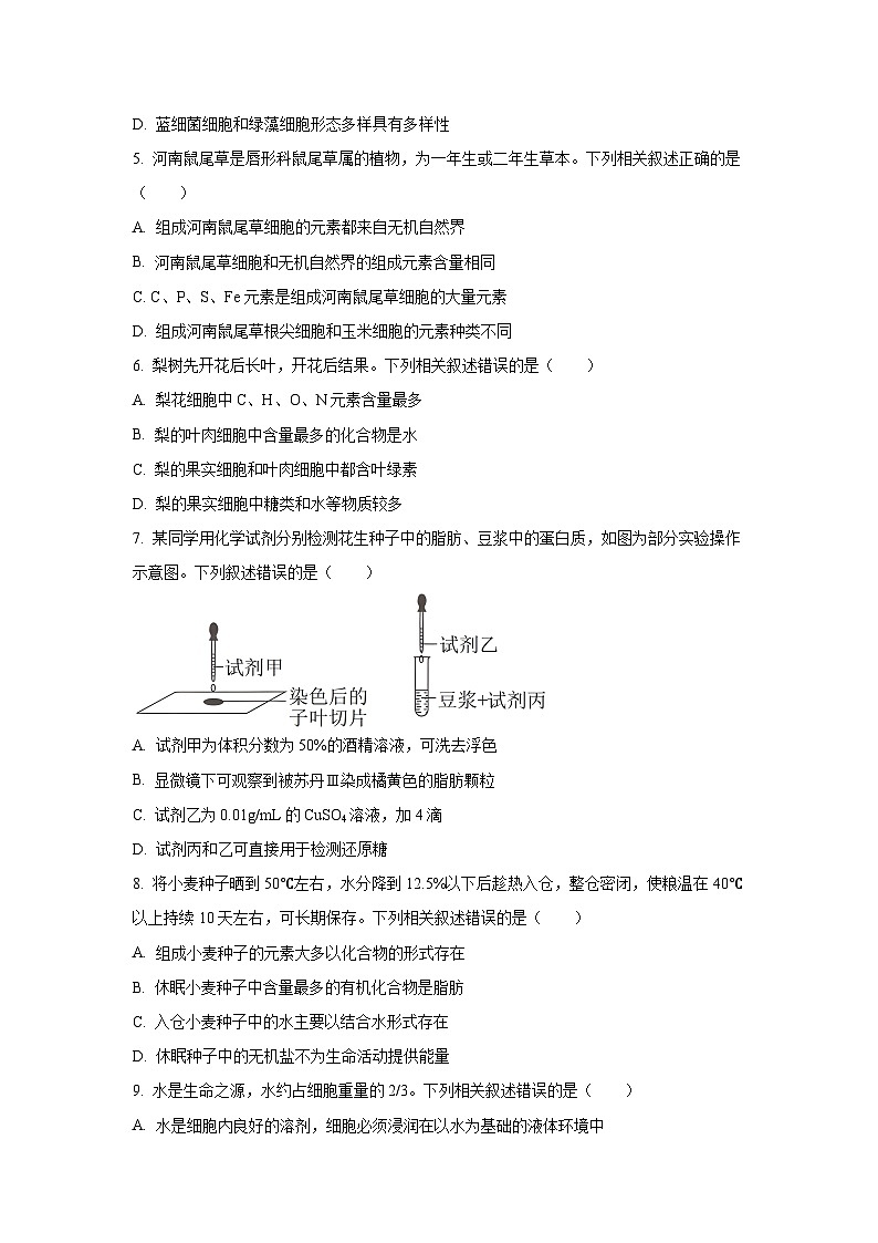 【生物】吉林省四平市普通高中2024-2025学年高一上学期第一次月考试题(学生版)第2页