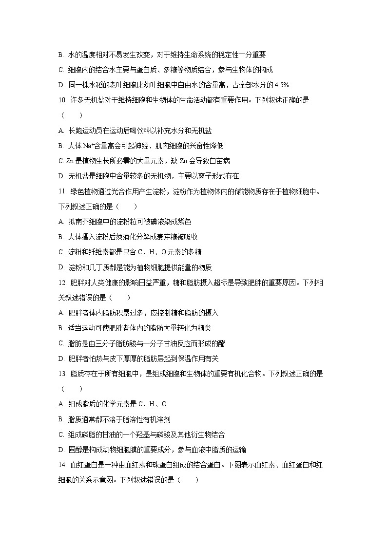 【生物】吉林省四平市普通高中2024-2025学年高一上学期第一次月考试题(学生版)第3页