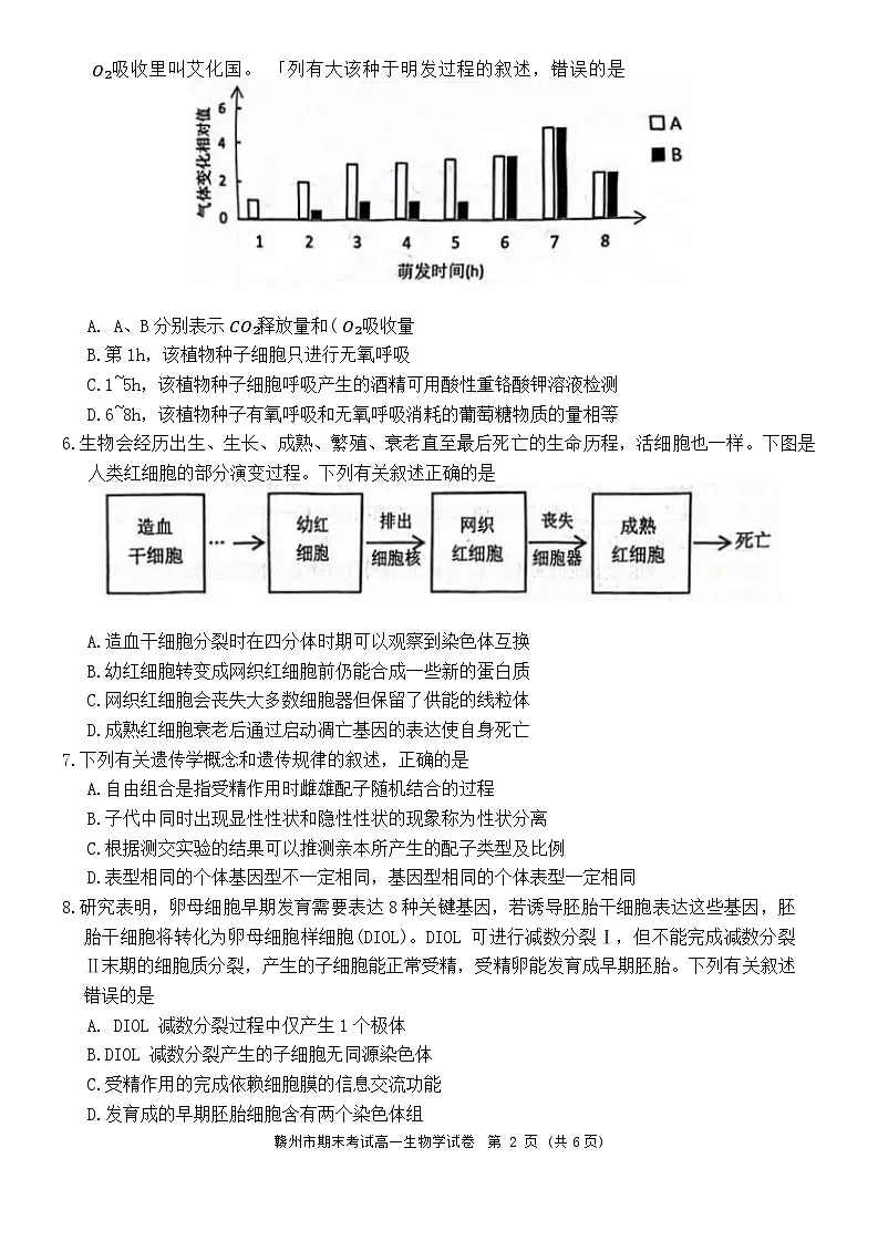江西省赣州市2023-2024学年高一下学期7月期末生物试题第2页