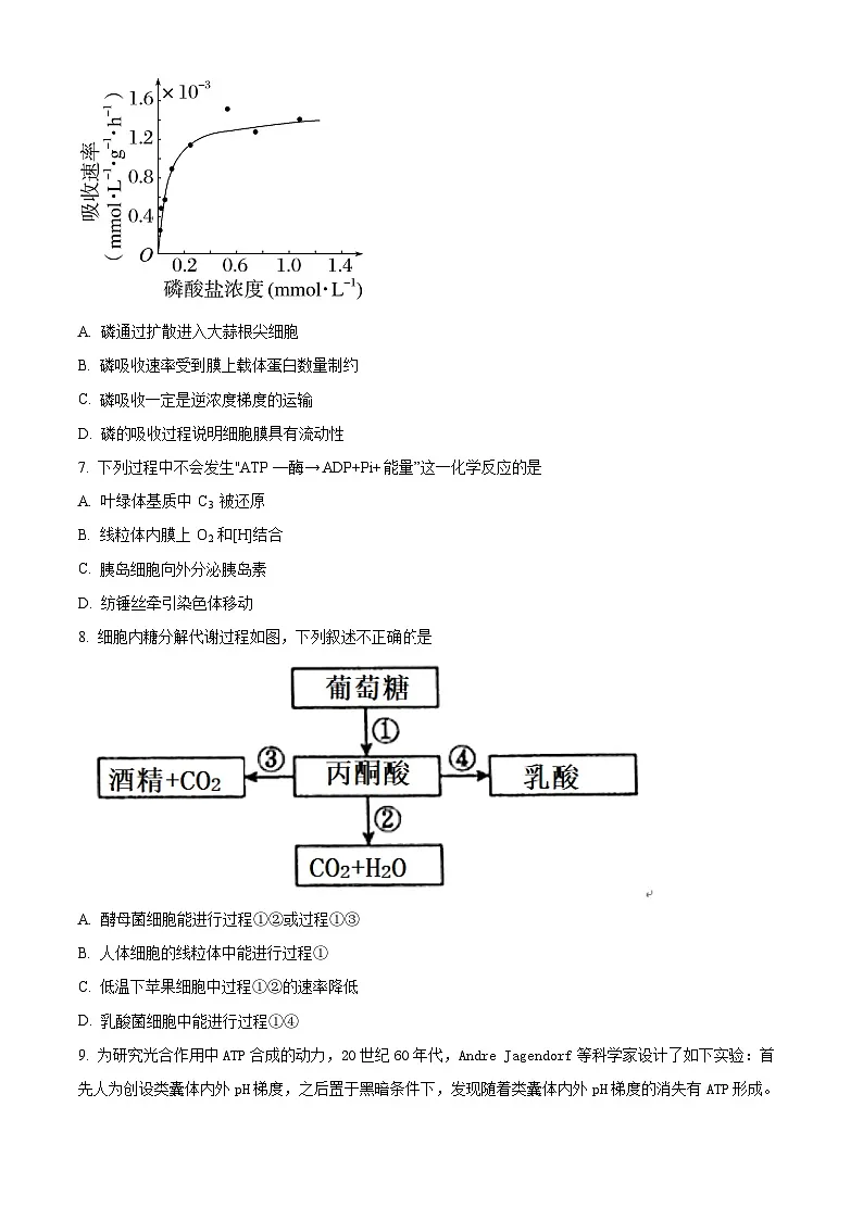 北京市西城区北京市育才学校2025-2026学年高三上学期9月月考生物试题 Word版无答案第2页