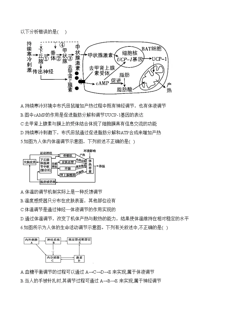 第六周——2025年秋高二生物学苏教版(2019)选修1周末小测卷(含答案)第2页