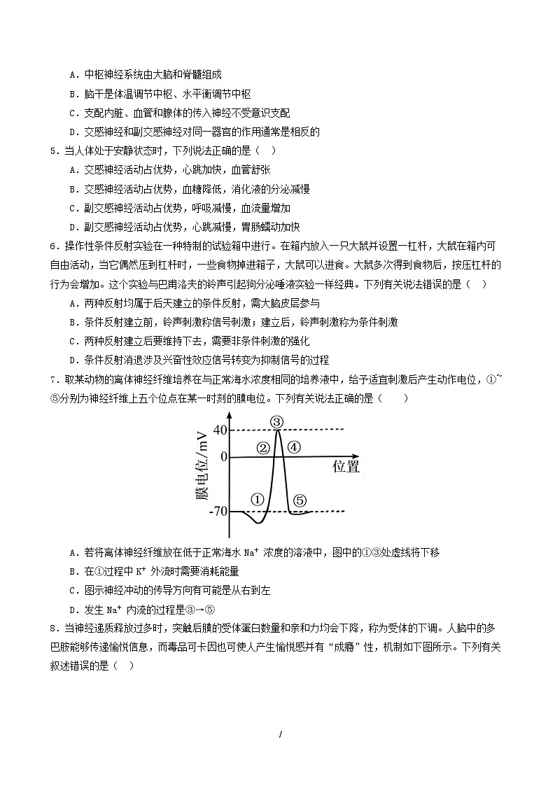高二生物上学期第一次月考卷(湖南专用) 高二生物第一次月考卷【测试范围:选择性必修一1-2章】(考试版) 第2页
