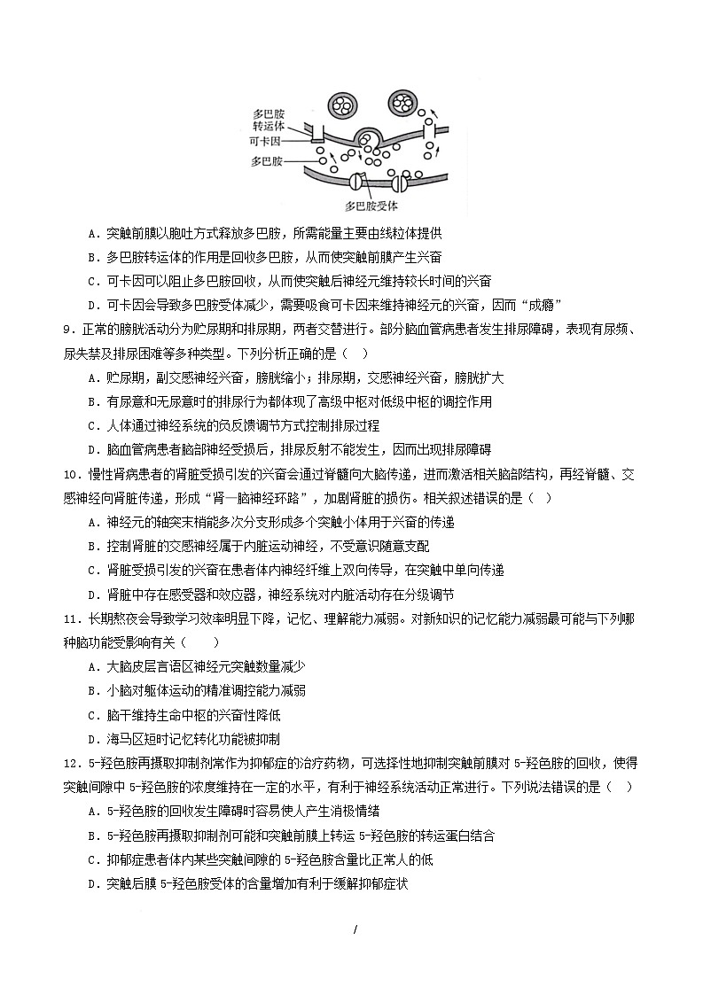 高二生物上学期第一次月考卷(湖南专用) 高二生物第一次月考卷【测试范围:选择性必修一1-2章】(考试版) 第3页
