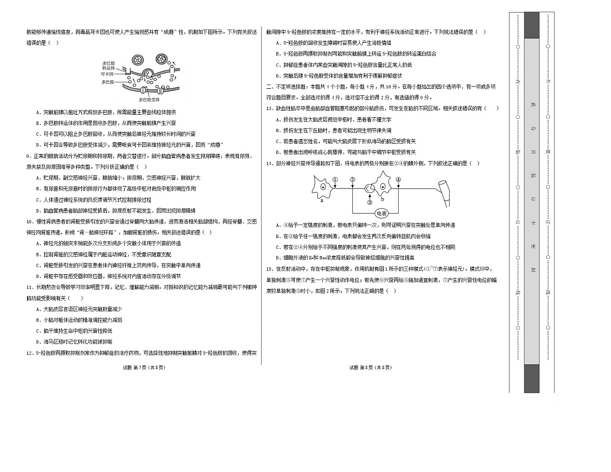 高二生物上学期第一次月考卷(湖南专用) 高二生物第一次月考卷【测试范围:选择性必修一1-2章】(考试版A3)第2页