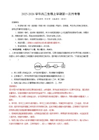 2025-2026学年高二生物上学期第一次月考（山东专用）试卷（Word版附解析）