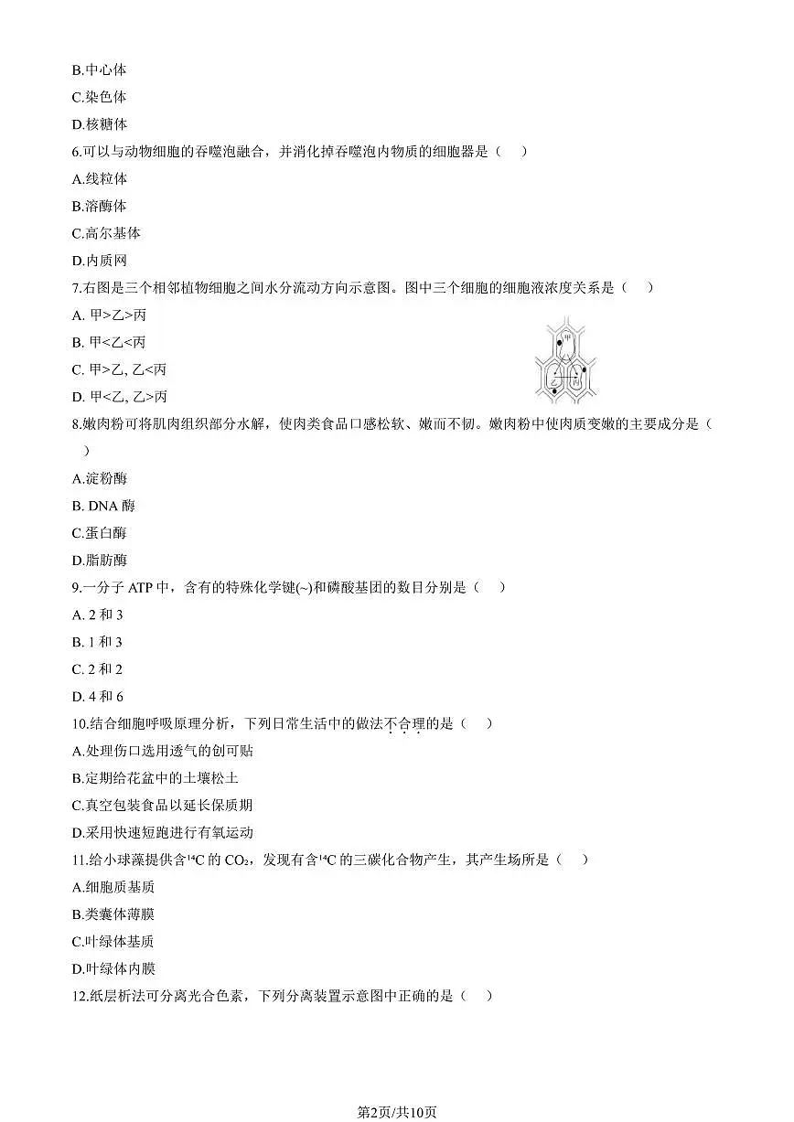 2025北京高中合格考生物(第二次)试卷(教师版)第2页