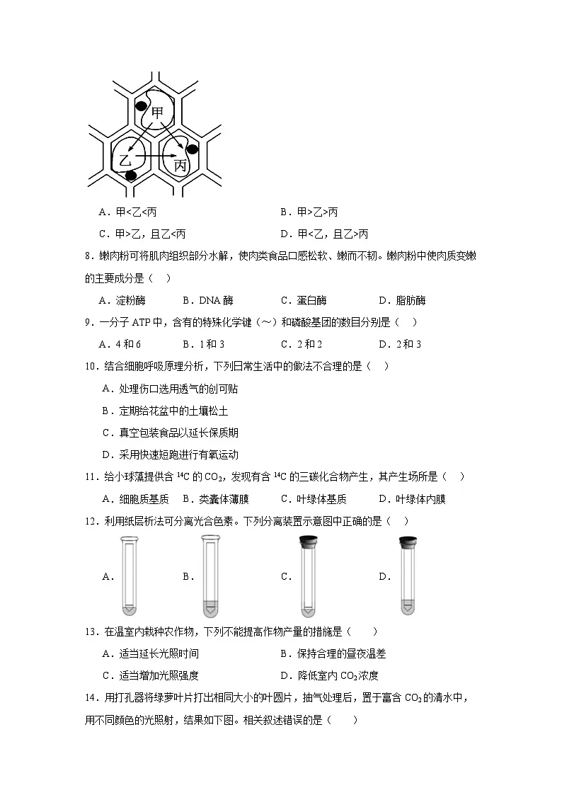 2025年北京市第二次普通高中学业水平合格性考试生物学试卷(无答案)第2页