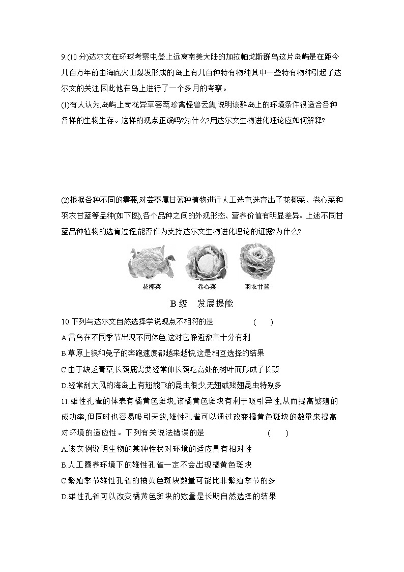 高一生物(人教版)试题必修二课时跟踪检测(二十)生物有共同祖先的证据自然选择与适应的形成(Word版附解析)第3页