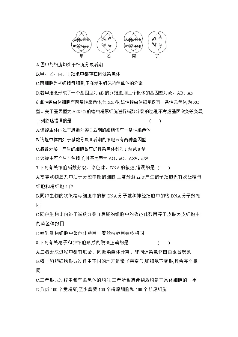 高一生物(人教版)试题必修二课时跟踪检测(六)减数分裂(Word版附解析)第2页