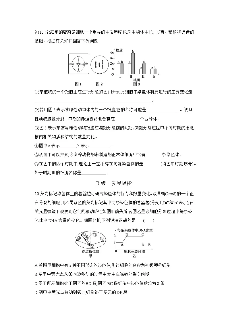 高一生物(人教版)试题必修二课时跟踪检测(六)减数分裂(Word版附解析)第3页