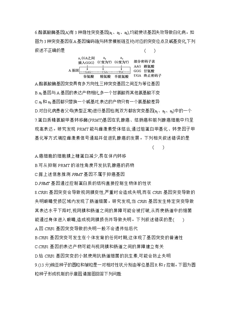 高一生物(人教版)试题必修二课时跟踪检测(十六)基因突变和基因重组(Word版附解析)第2页