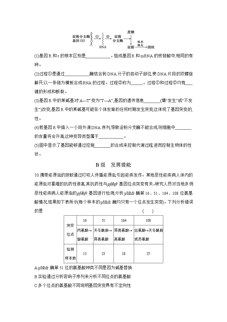 高一生物(人教版)试题必修二课时跟踪检测(十六)基因突变和基因重组(Word版附解析)第3页