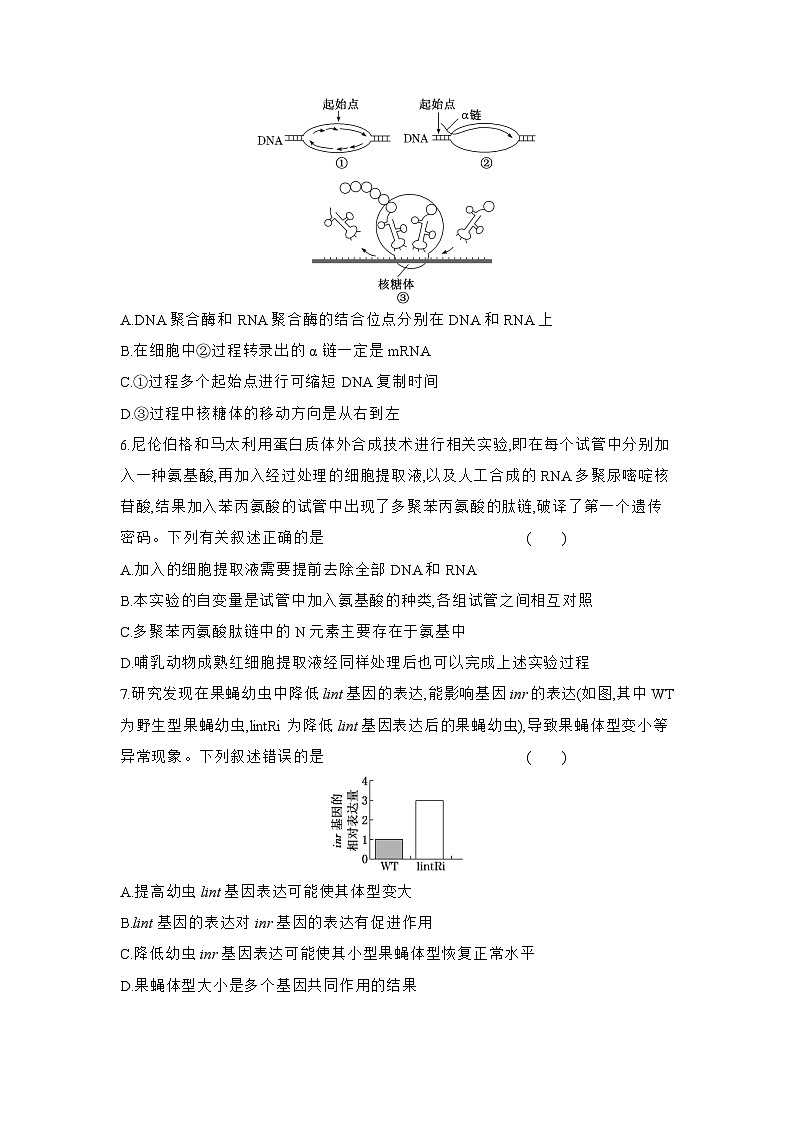 高一生物(人教版)试题必修二课时跟踪检测(十四)基因指导蛋白质的合成(Word版附解析)第2页