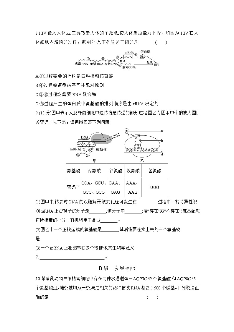 高一生物(人教版)试题必修二课时跟踪检测(十四)基因指导蛋白质的合成(Word版附解析)第3页