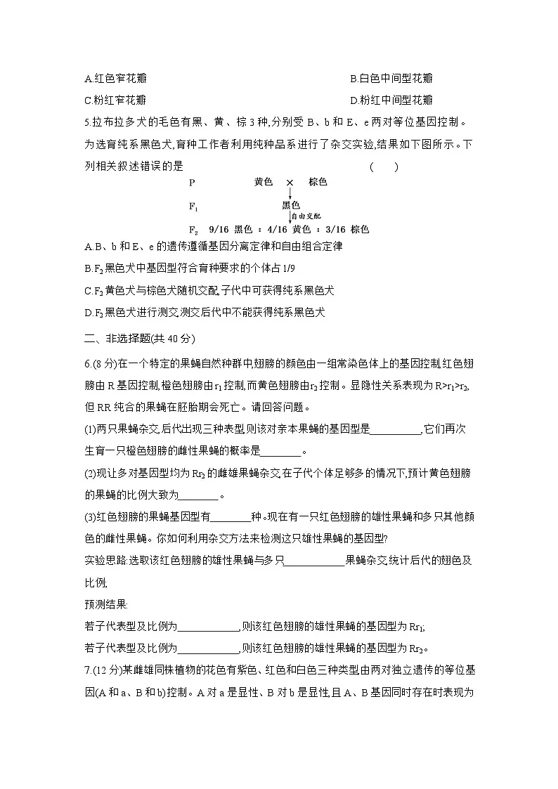 高一生物(人教版)试题必修二课时跟踪检测(五)孟德尔遗传定律强化练(Word版附解析)第2页