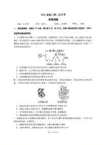 湖南省衡阳市雁峰区衡阳市第八中学2025-2026学年高三上学期10月月考生物试题
