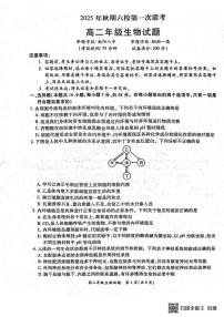 河南省南阳市六校2025-2026学年高二上学期10月联考生物试题（月考）