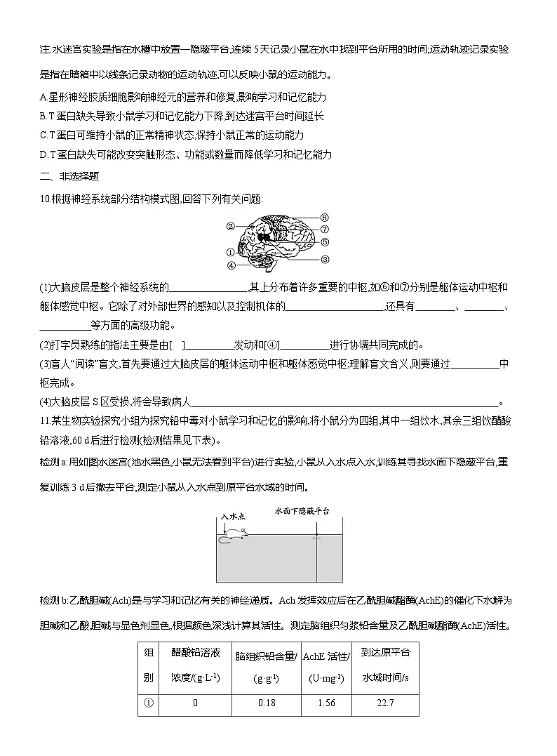 高二生物(人教版)试题选择性必修一课时跟踪检测(七)人脑的高级功能(Word版附解析)第3页