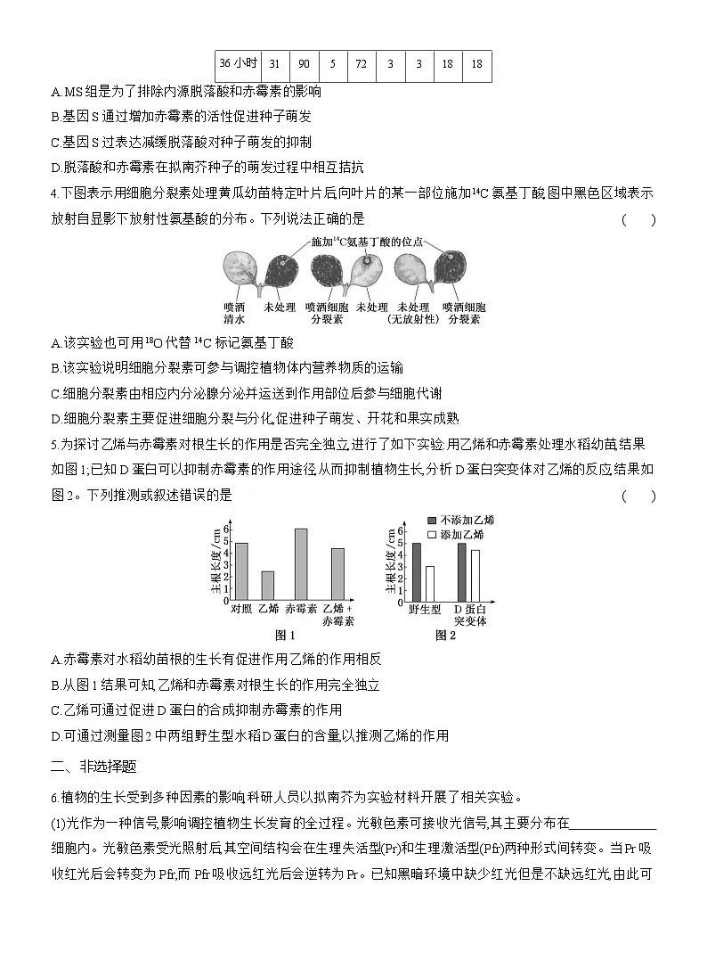 高二生物(人教版)试题选择性必修一第12周周末作业“植物生命活动调节”综合提能练(Word版附解析)第2页