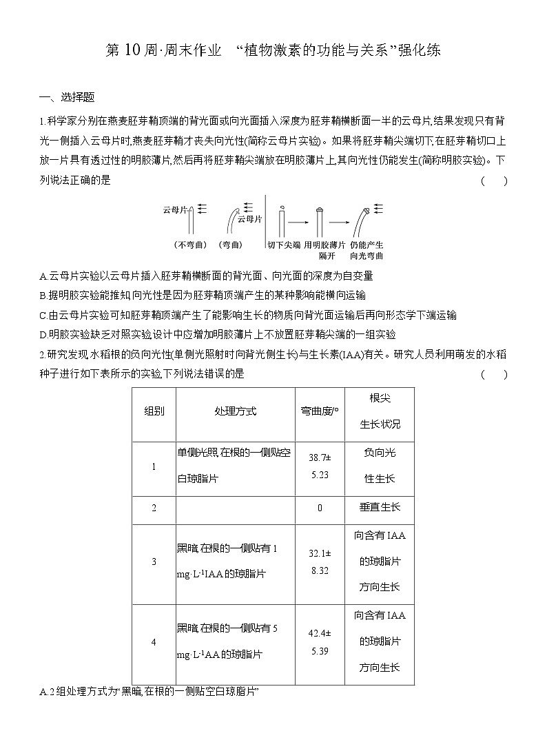 高二生物(人教版)试题选择性必修一第10周周末作业“植物激素的功能与关系”强化练(Word版附解析)第1页