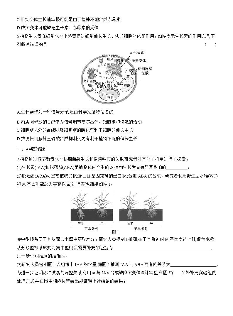 高二生物(人教版)试题选择性必修一第10周周末作业“植物激素的功能与关系”强化练(Word版附解析)第3页
