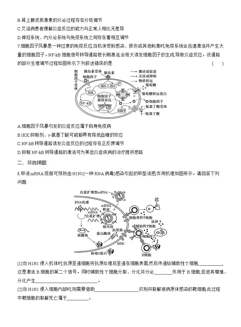 高二生物(人教版)试题选择性必修一第9周周末作业“免疫失调与免疫学的应用”强化练(Word版附解析)第3页