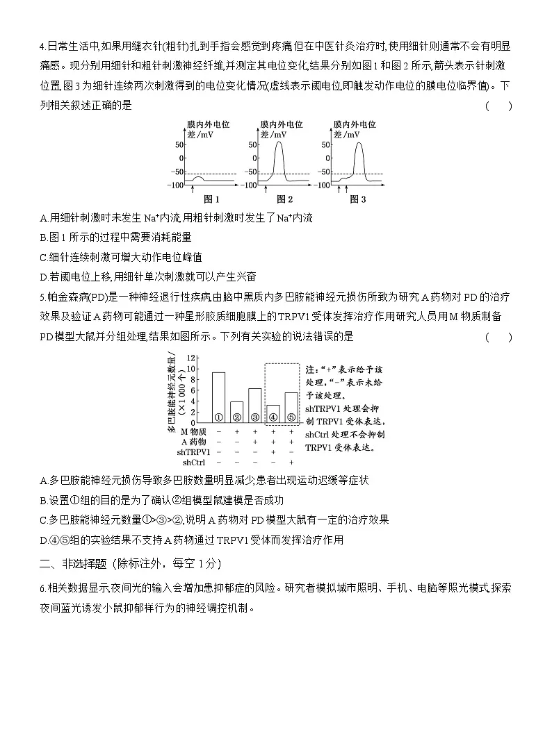 高二生物(人教版)试题选择性必修一第4周周末作业“神经调节”综合提能练(Word版附解析)第2页