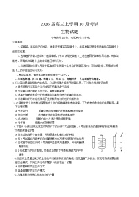 河北省承德市五校2026届高三上学期10月月考生物试题（Word版附解析）
